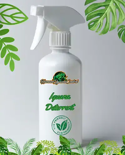 Iguana repellent