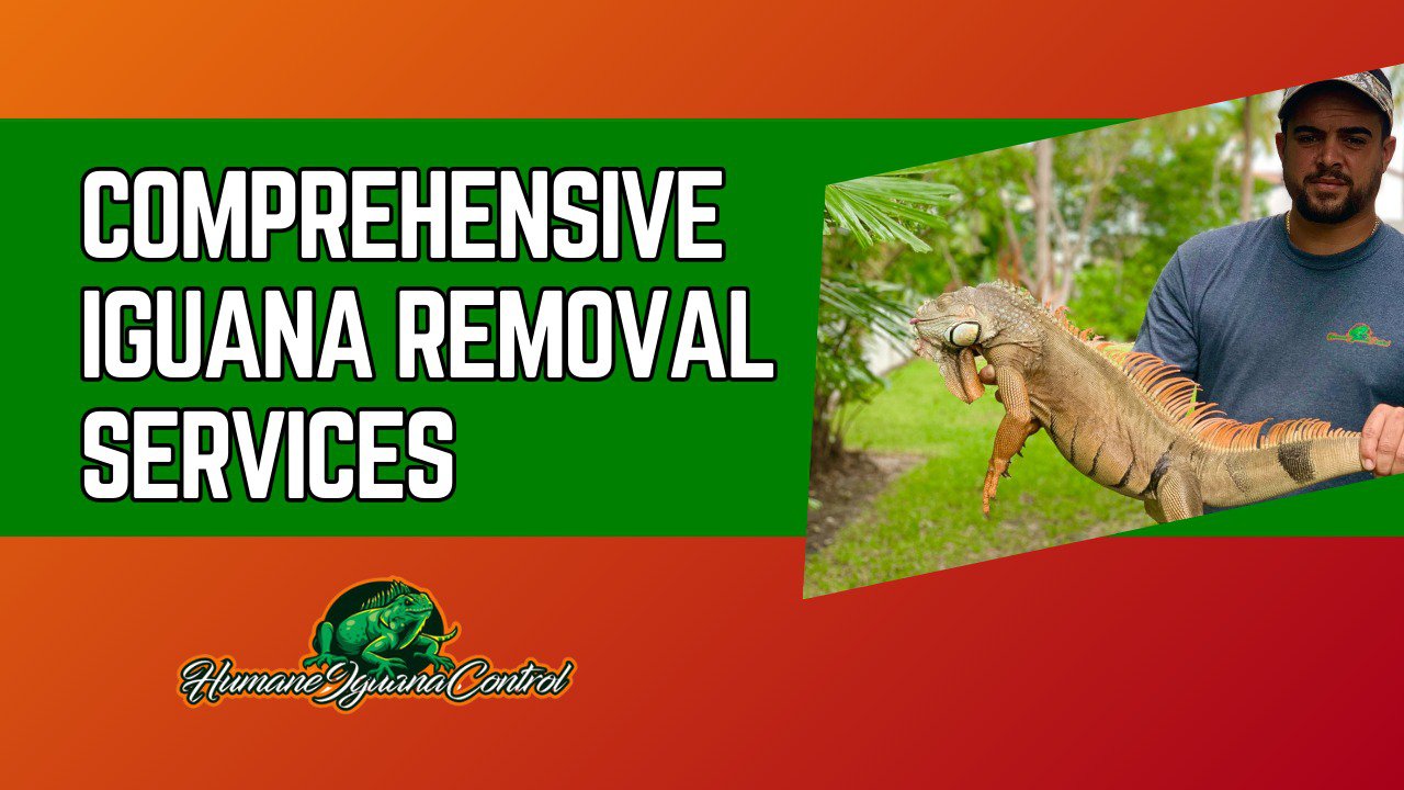 Comprehensive Iguana Removal Services: Protecting Homes, Businesses, and Communities cover