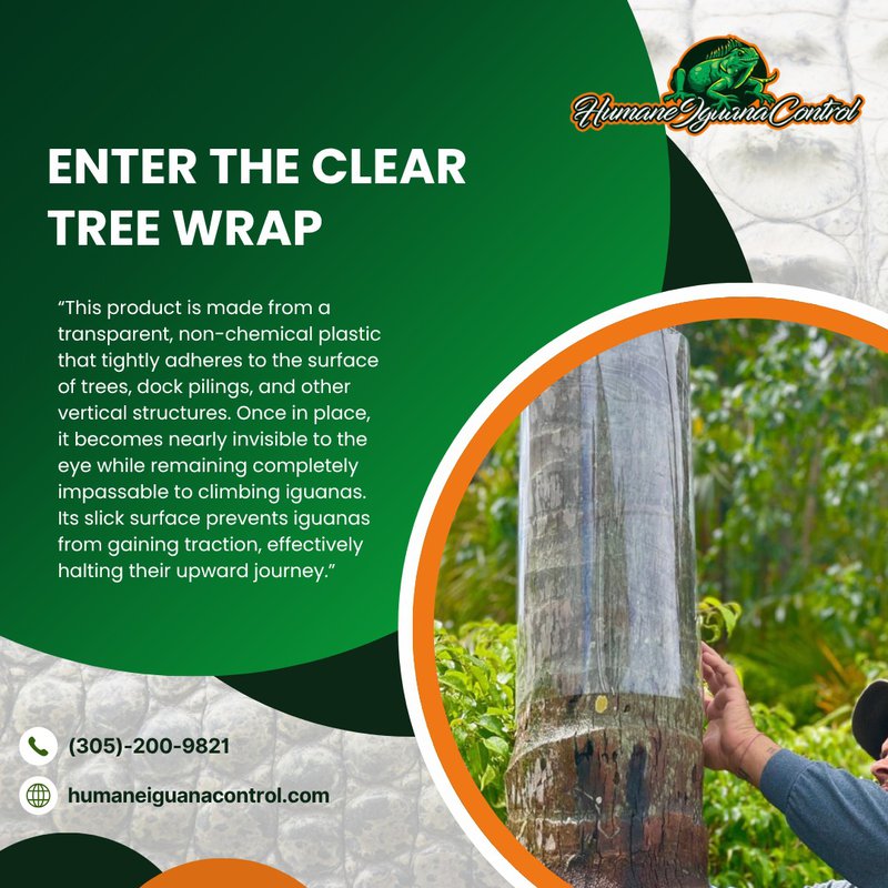using clear tree wrap