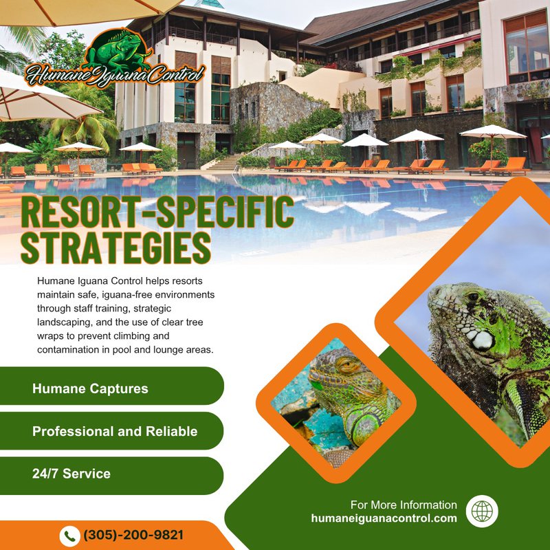 iguana infestations at hotels
