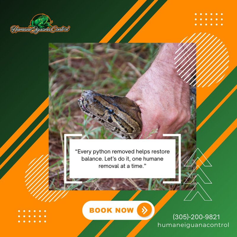 python removal in florida