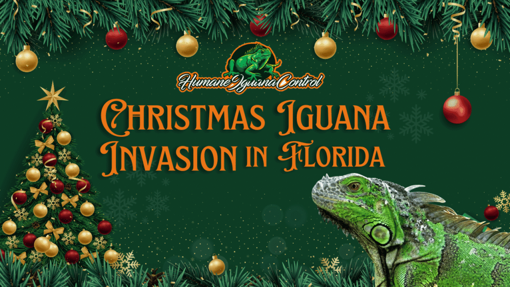 Your Christmas Iguana Invasion cover